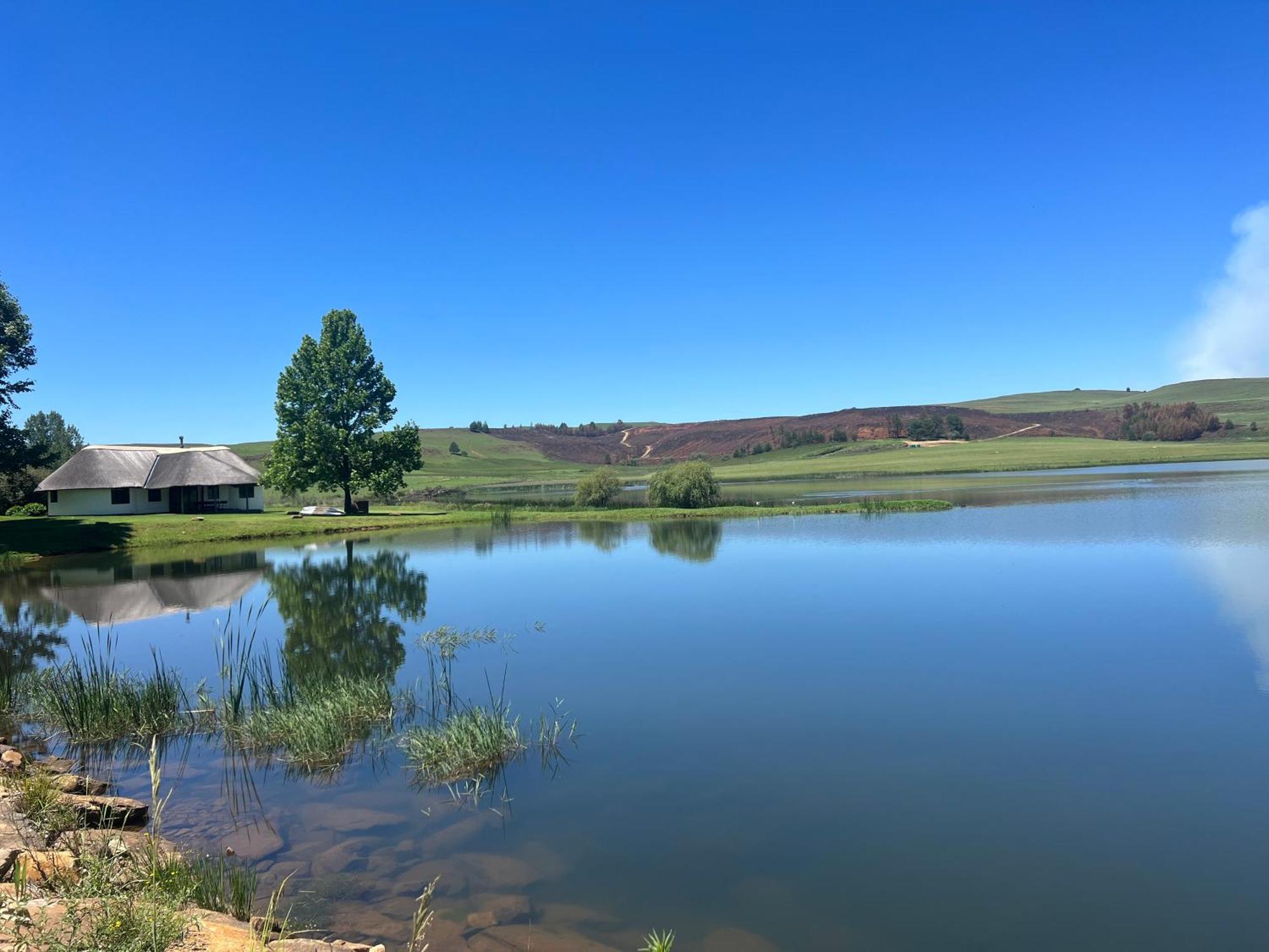 Dieu Donne Cottage Underberg Esterno foto