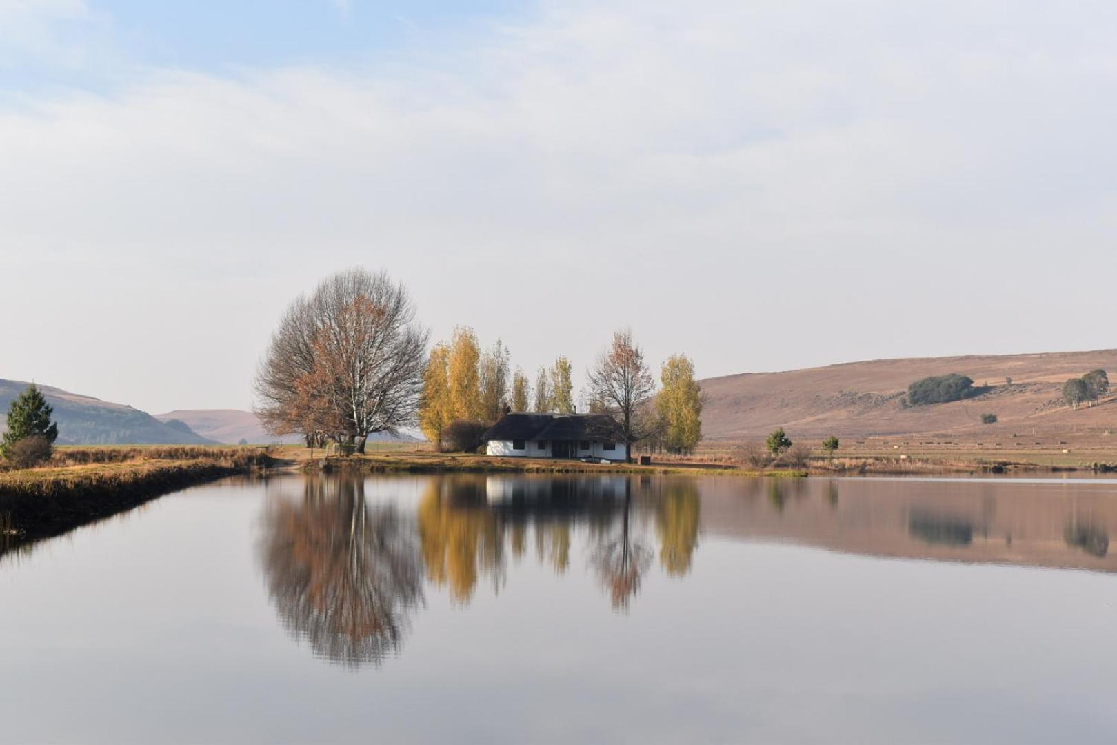 Dieu Donne Cottage Underberg Esterno foto